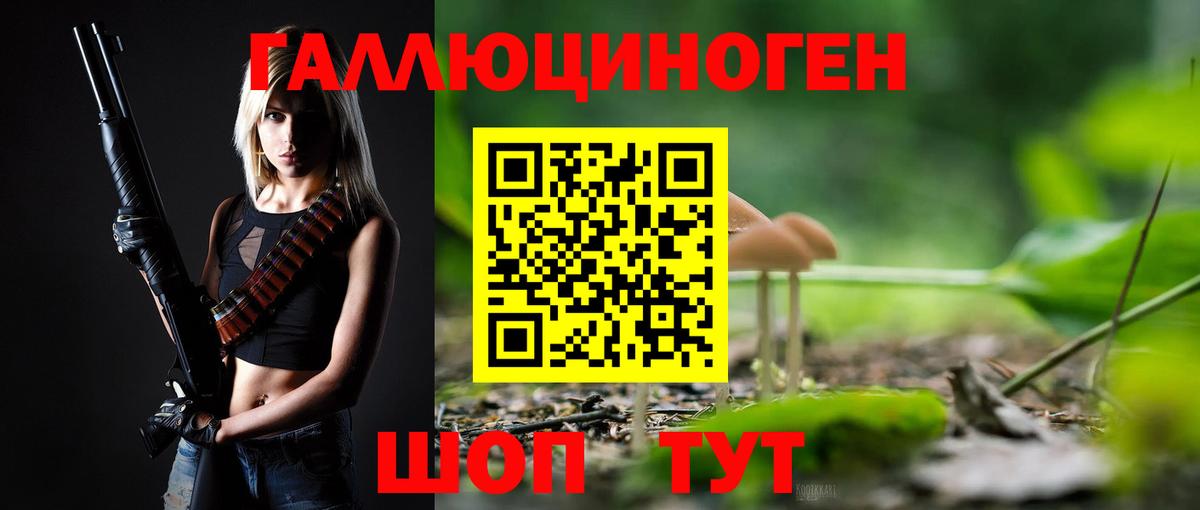 Псилоцибиновые грибы Psilocybe Ачхой-Мартан